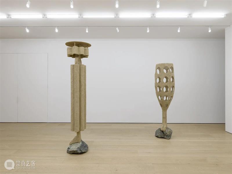 立木纽约|奥伦·皮纳西个展“失面”,放大人与环境共生关系的奇异空间 崇真艺客