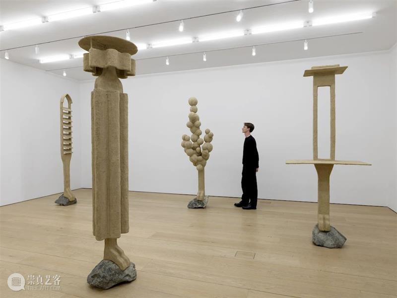 立木纽约|奥伦·皮纳西个展“失面”,放大人与环境共生关系的奇异空间 崇真艺客