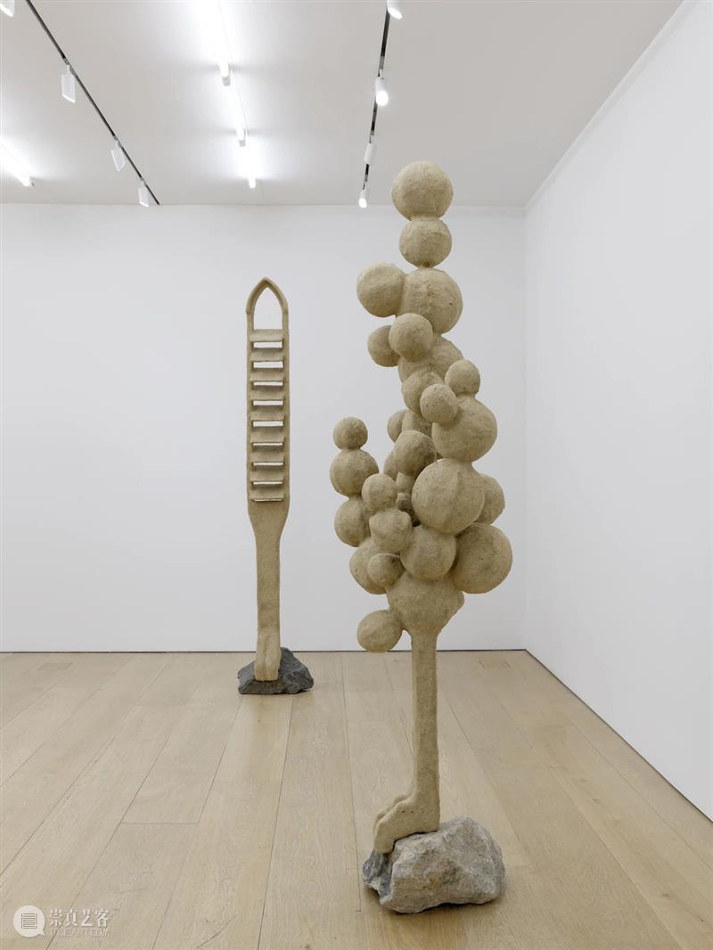 立木纽约|奥伦·皮纳西个展“失面”,放大人与环境共生关系的奇异空间 崇真艺客