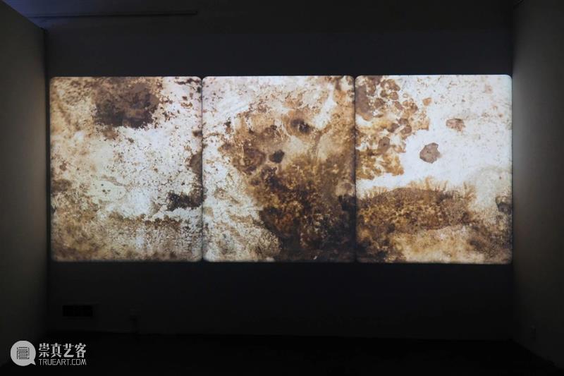 三个单元｜艺术家工作坊：周颂凯“影像蒙太奇与胶片实验动画” 崇真艺客