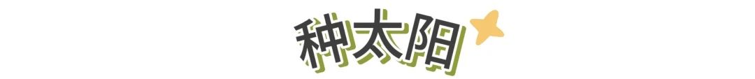 「愈见无限公益计划」单元 | 触及最真实的乡村美育 崇真艺客
