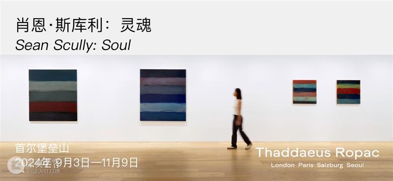 Ropac 巴黎展览|斯特蒂文特(Sturtevant):ZIP ZAP ! 崇真艺客