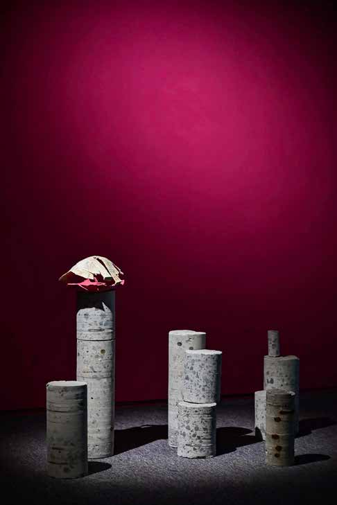 西岸艺博会DREAM xiàn ch?ng单元 崇真艺客