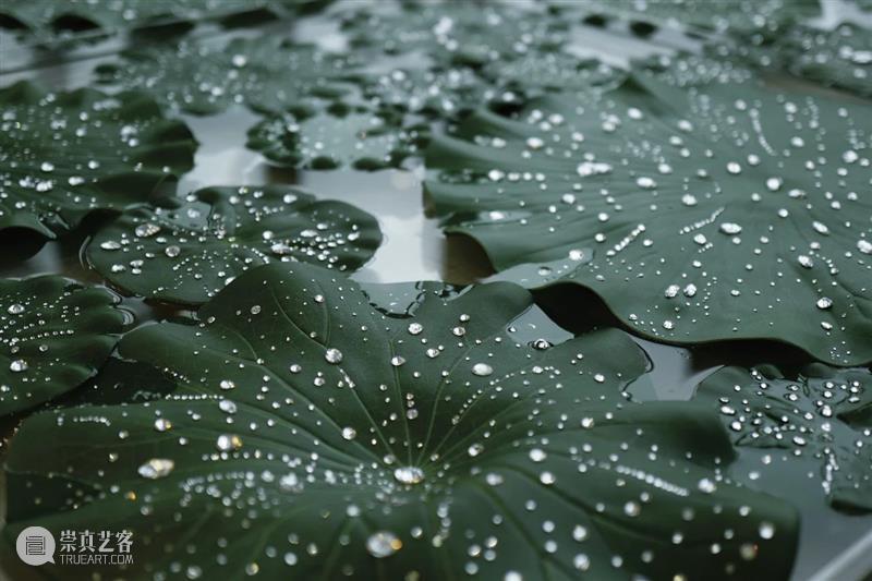 西岸艺博会DREAM xiàn ch?ng单元 崇真艺客