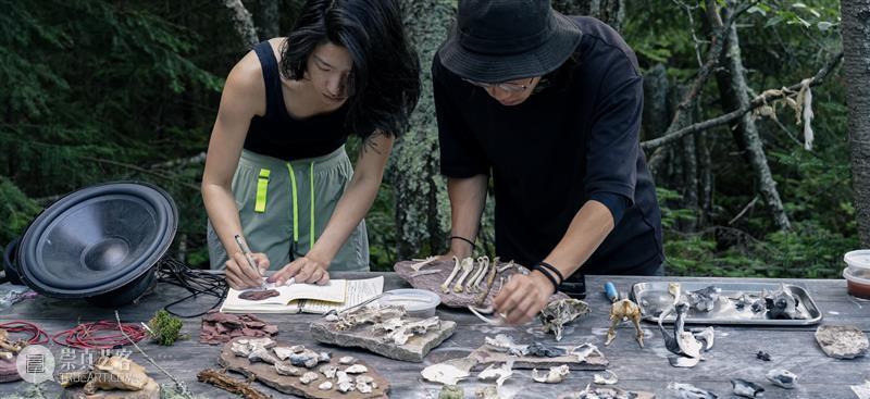 新展开幕｜尘埃之子Children of The Dust 崇真艺客