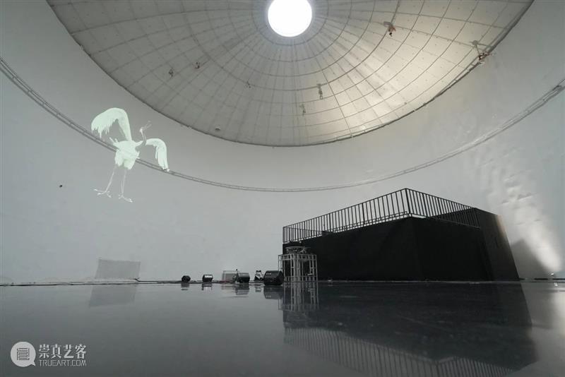 TANK展览|《来自未来的鸟》文章——李石影撰稿 崇真艺客