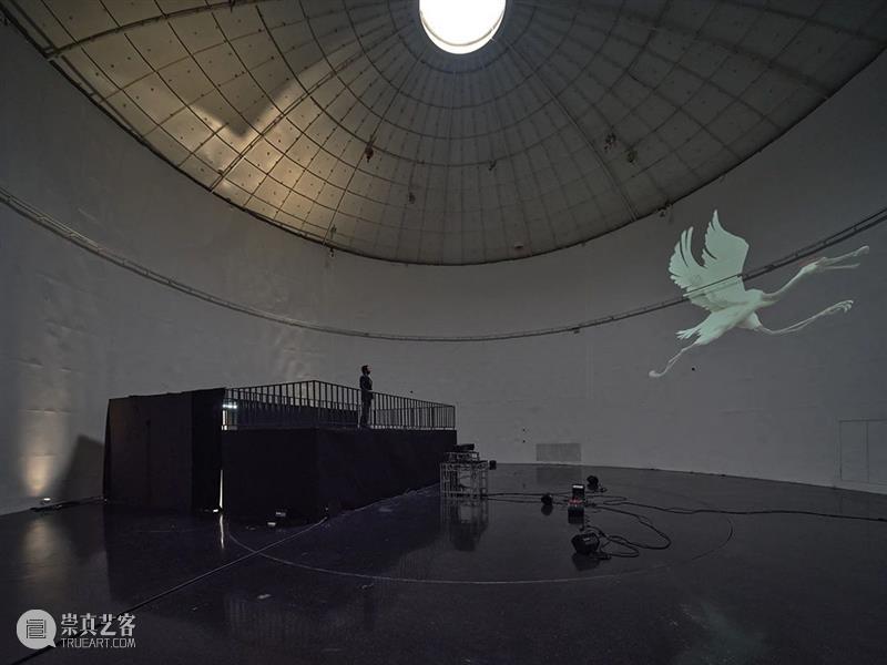 TANK展览|《来自未来的鸟》文章——李石影撰稿 崇真艺客