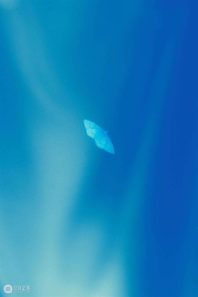 CYE × 董怡:一场多重宇宙的造梦计划 崇真艺客