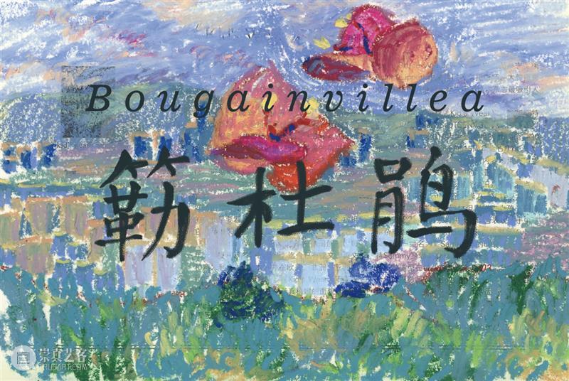 西岸艺博会video影像单元 崇真艺客