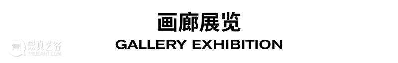 贝浩登上海|全新展览与精彩项目开启11月艺术周 崇真艺客
