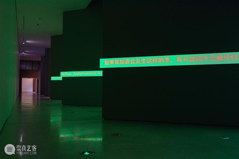张培力_迄今为止规模最大个展 | 国家美术·关注 崇真艺客