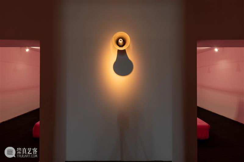 张培力_迄今为止规模最大个展 | 国家美术·关注 崇真艺客