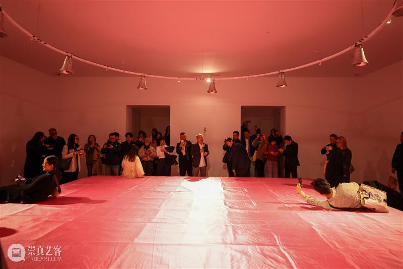 张培力_迄今为止规模最大个展 | 国家美术·关注 崇真艺客