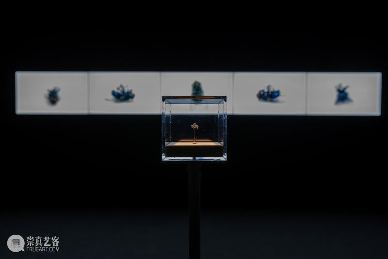 张培力_迄今为止规模最大个展 | 国家美术·关注 崇真艺客
