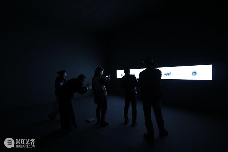 张培力_迄今为止规模最大个展 | 国家美术·关注 崇真艺客