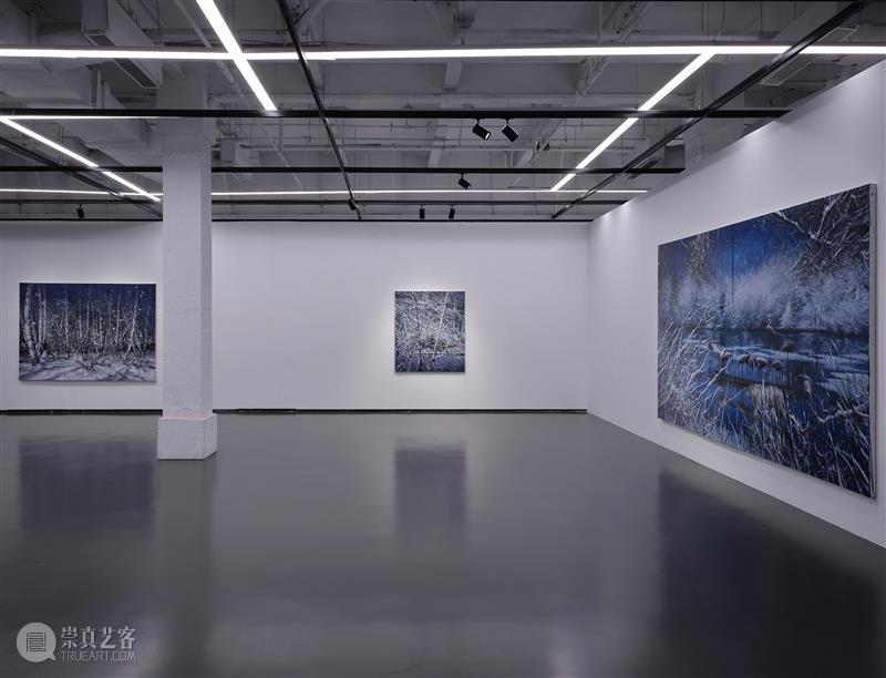 SGA沪申画廊赵博个展“极地孤行” 展览 中国 上海市SGA沪申画廊 SGA沪申画廊  赵博  鲁明军  崇真艺客