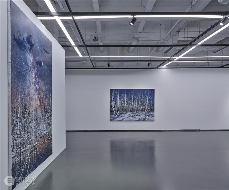 SGA沪申画廊赵博个展“极地孤行” 展览 中国 上海市SGA沪申画廊 SGA沪申画廊  赵博  鲁明军  崇真艺客