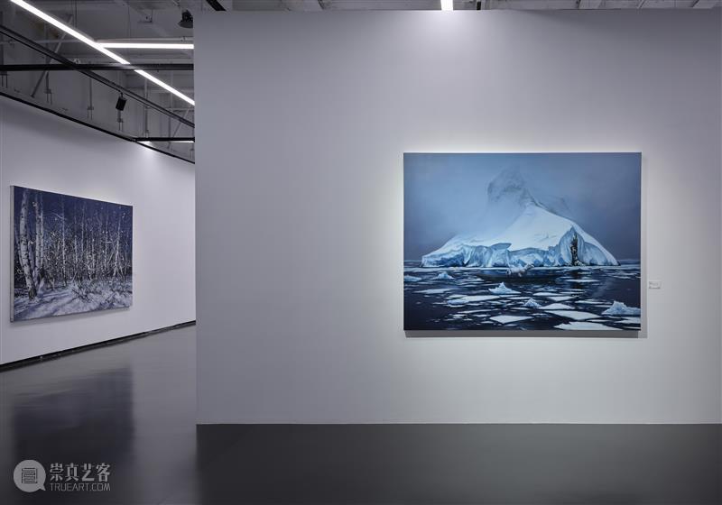 SGA沪申画廊赵博个展“极地孤行” 展览 中国 上海市SGA沪申画廊 SGA沪申画廊  赵博  鲁明军  崇真艺客