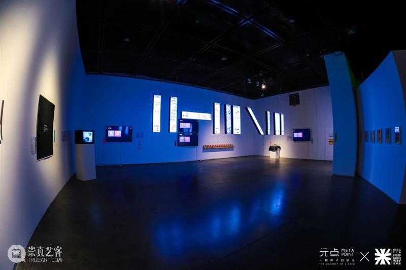 MOCA 观展提醒 | “一颗种子的旅行·元点”展览将延期至2月16日！ 崇真艺客