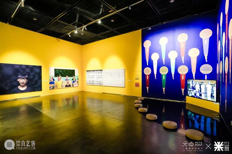 MOCA 观展提醒 | “一颗种子的旅行·元点”展览将延期至2月16日！ 崇真艺客