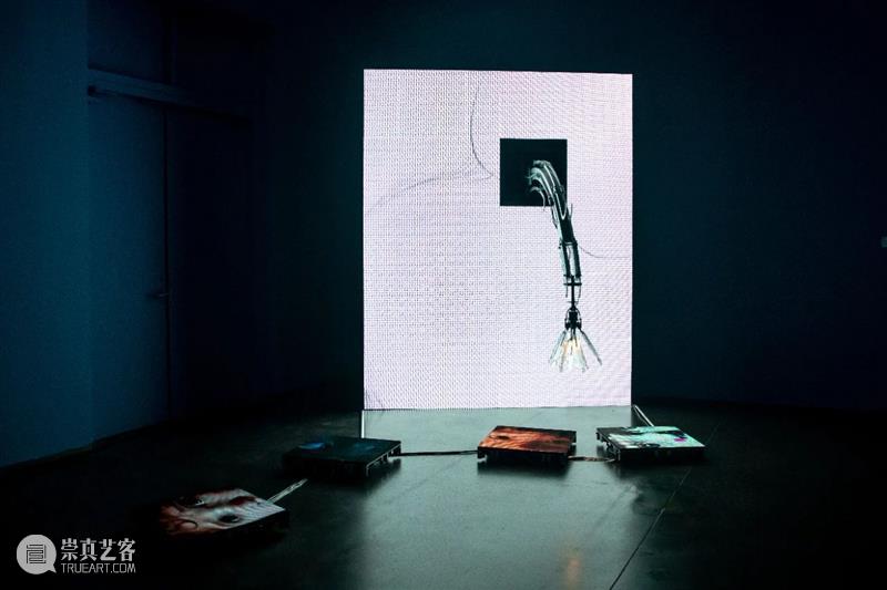 MOCA 观展提醒 | “一颗种子的旅行·元点”展览将延期至2月16日！ 崇真艺客
