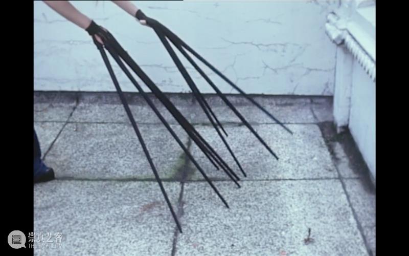 萃舍云集 | “蝶影—纪念瑞贝卡·霍恩”展览11月10日开幕 崇真艺客