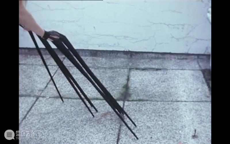 萃舍云集 | “蝶影—纪念瑞贝卡·霍恩”展览11月10日开幕 崇真艺客