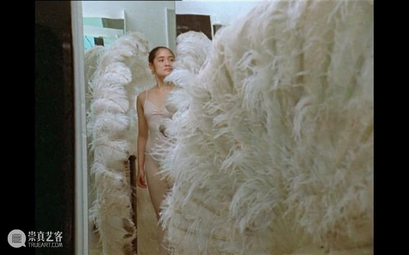 萃舍云集 | “蝶影—纪念瑞贝卡·霍恩”展览11月10日开幕 崇真艺客