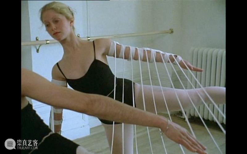 萃舍云集 | “蝶影—纪念瑞贝卡·霍恩”展览11月10日开幕 崇真艺客