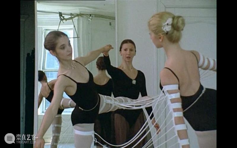 萃舍云集 | “蝶影—纪念瑞贝卡·霍恩”展览11月10日开幕 崇真艺客