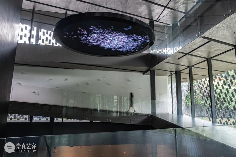 从“未知”到“刺天”，尹秀珍个展即将亮相PSA！ 崇真艺客