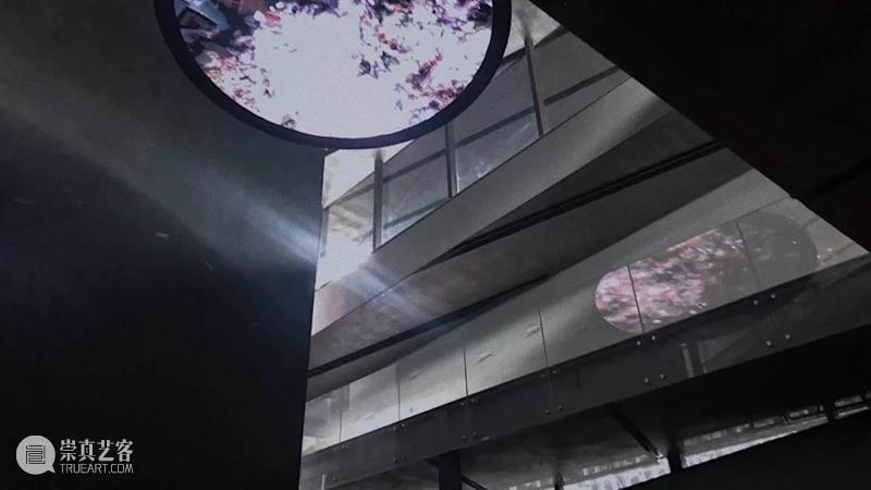 从“未知”到“刺天”，尹秀珍个展即将亮相PSA！ 崇真艺客