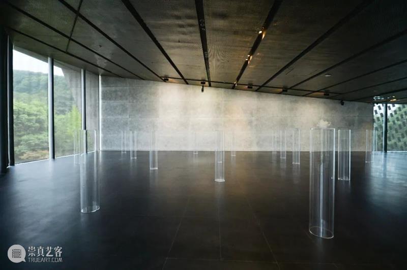 从“未知”到“刺天”，尹秀珍个展即将亮相PSA！ 崇真艺客