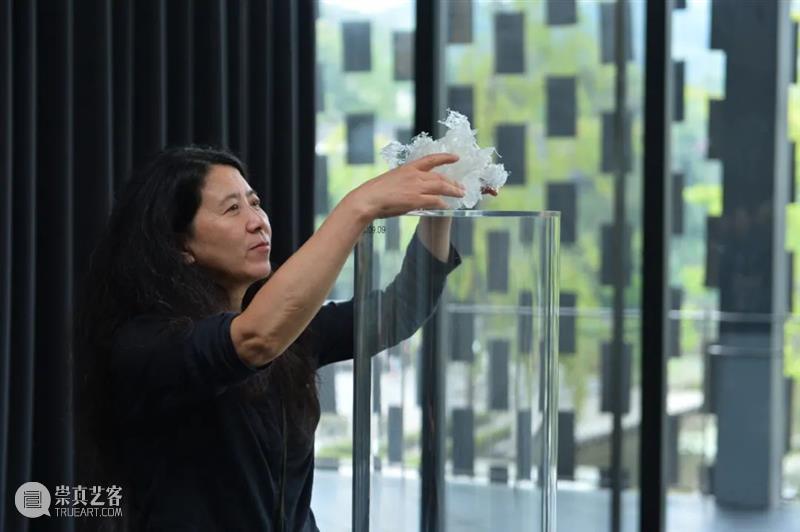 从“未知”到“刺天”，尹秀珍个展即将亮相PSA！ 崇真艺客