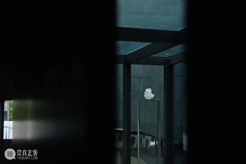 从“未知”到“刺天”，尹秀珍个展即将亮相PSA！ 崇真艺客