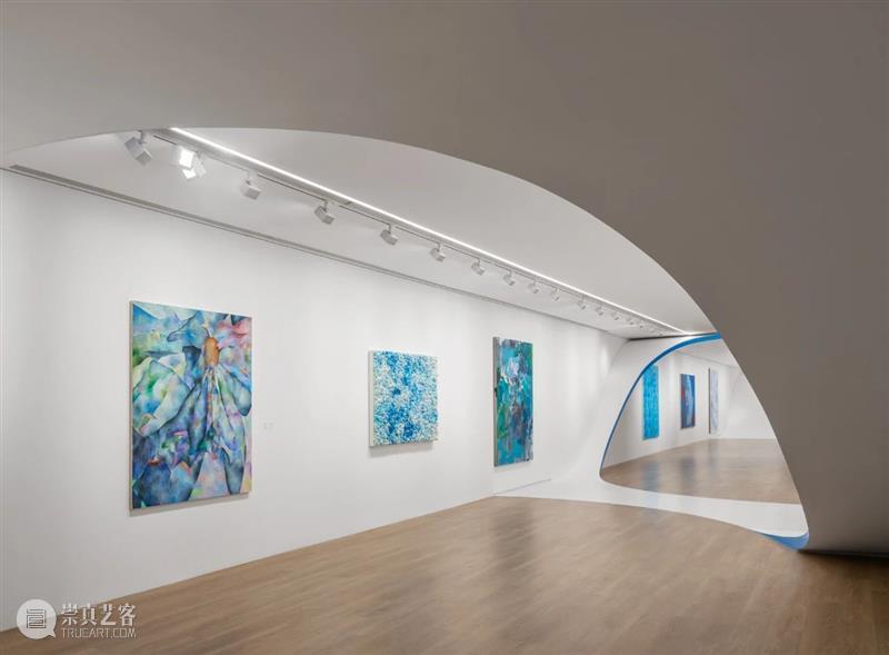 袁佳维谈从0到1策划元美术馆秋季群展“是日蓝花”的全过程 崇真艺客