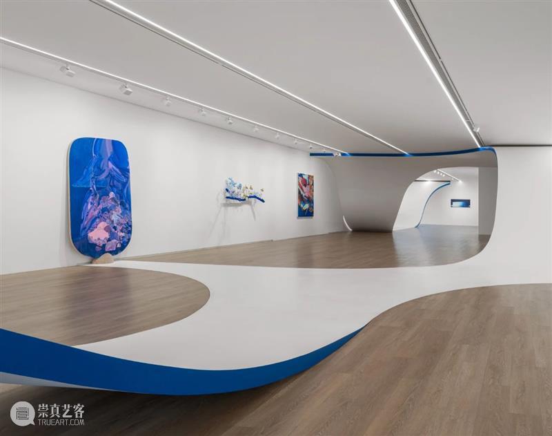 袁佳维谈从0到1策划元美术馆秋季群展“是日蓝花”的全过程 崇真艺客