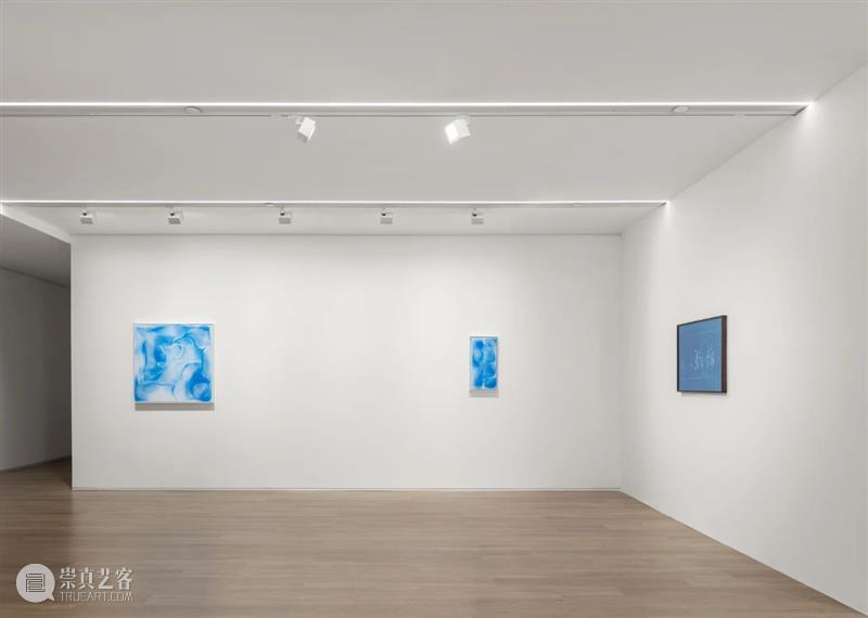 袁佳维谈从0到1策划元美术馆秋季群展“是日蓝花”的全过程 崇真艺客