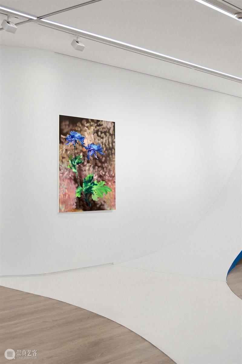 袁佳维谈从0到1策划元美术馆秋季群展“是日蓝花”的全过程 崇真艺客