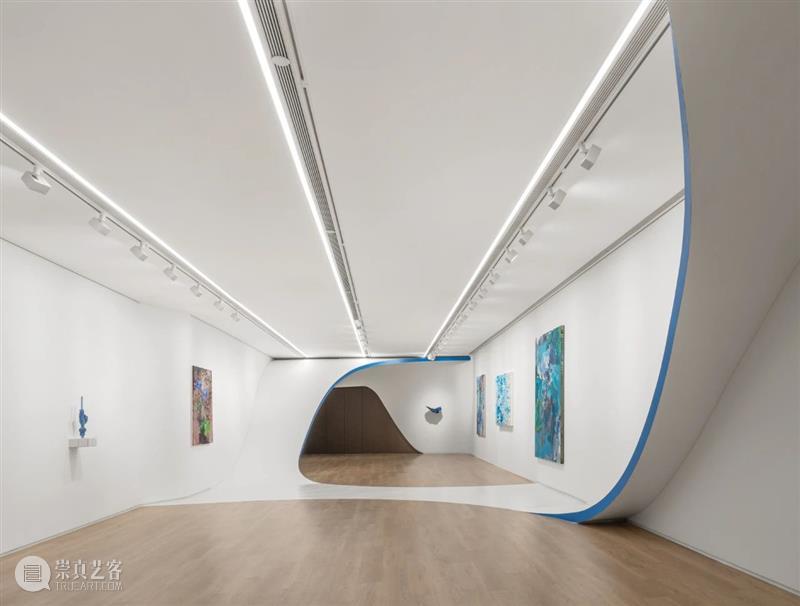 袁佳维谈从0到1策划元美术馆秋季群展“是日蓝花”的全过程 崇真艺客