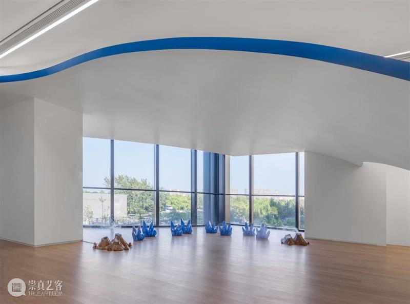 袁佳维谈从0到1策划元美术馆秋季群展“是日蓝花”的全过程 崇真艺客