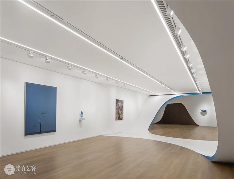 袁佳维谈从0到1策划元美术馆秋季群展“是日蓝花”的全过程 崇真艺客