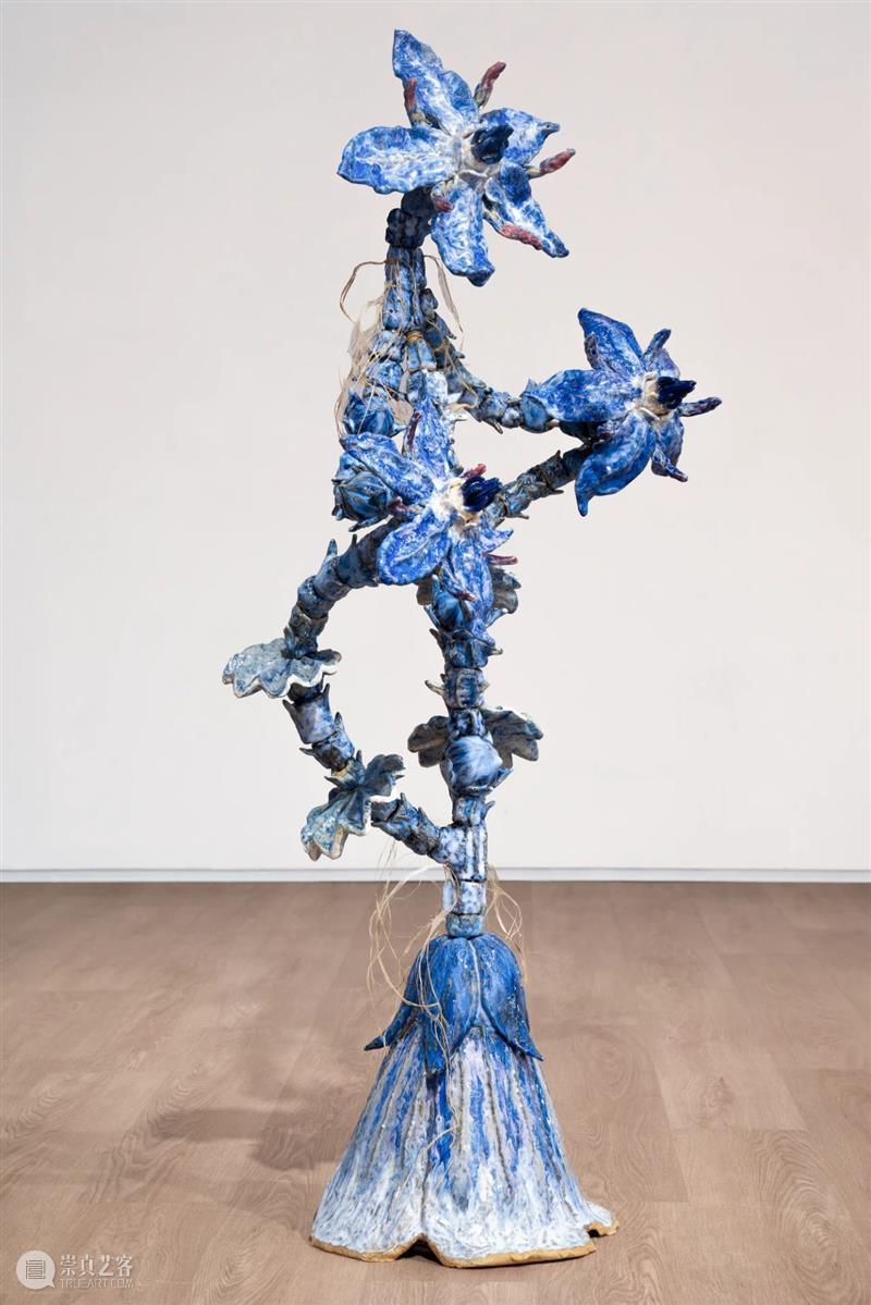 袁佳维谈从0到1策划元美术馆秋季群展“是日蓝花”的全过程 崇真艺客