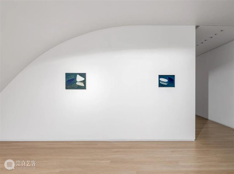 袁佳维谈从0到1策划元美术馆秋季群展“是日蓝花”的全过程 崇真艺客