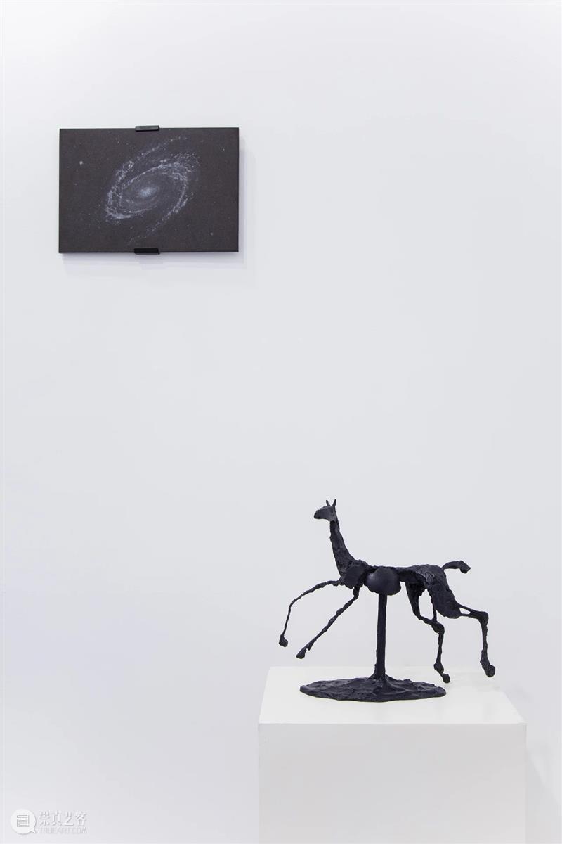 艺博会现场 | 杜梦堂参展2024西岸艺术与设计博览会 WEST BUND ART & DESIGN | 展位 B351 崇真艺客