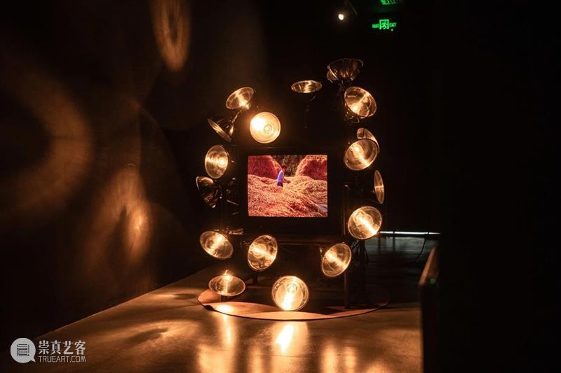 上海艺博季，艺仓水岸四大展览等你探索 崇真艺客