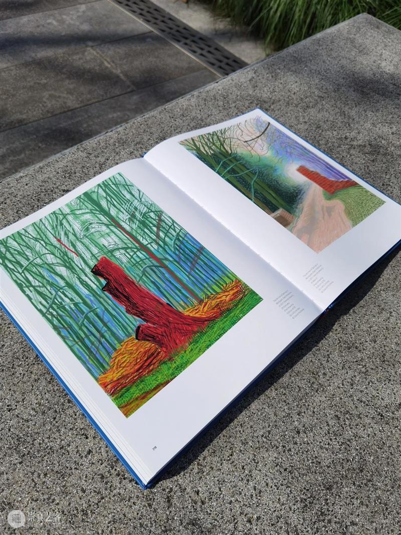 上海艺博季，艺仓水岸四大展览等你探索 崇真艺客