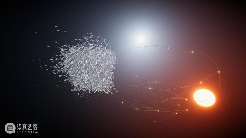 汇聚12国50位艺术家、科学家,2024北京艺术与科技双年展重磅开启! 崇真艺客