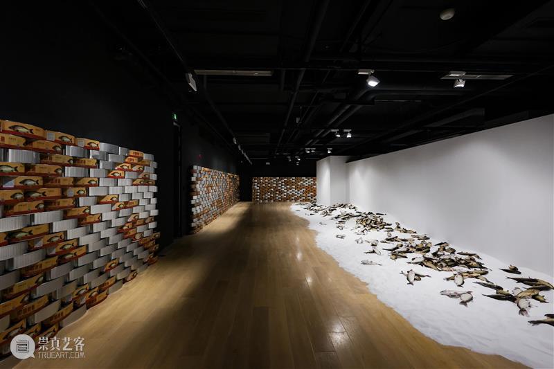 HOW昊美术馆AI+数字艺术年三展齐开！ | 国家美术·关注 崇真艺客