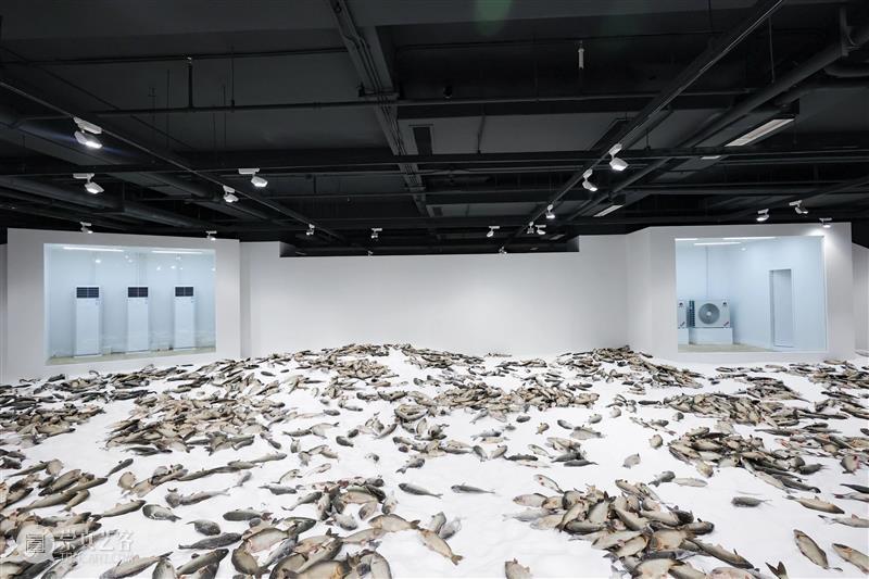 HOW昊美术馆AI+数字艺术年三展齐开！ | 国家美术·关注 崇真艺客